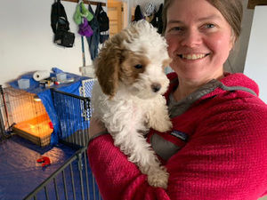 Meet your Posher, Amy